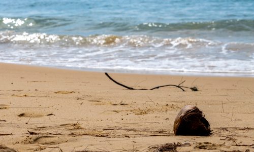 Bai Dam Trau - Côn Đảo