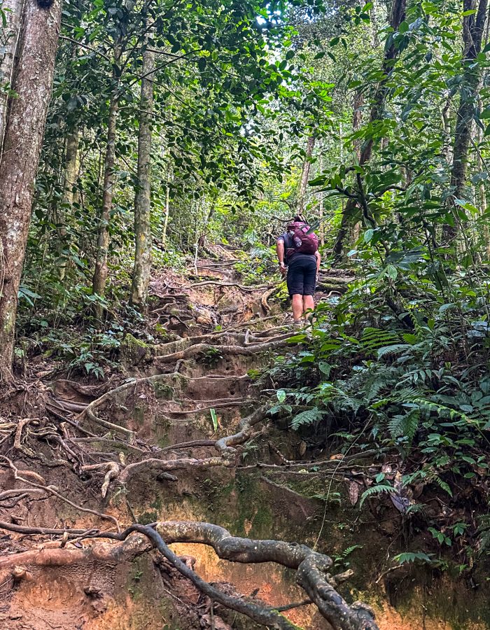 Tweede deel Trail 10 Cameron Highlands