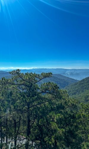 Cable Car - Đà Lạt