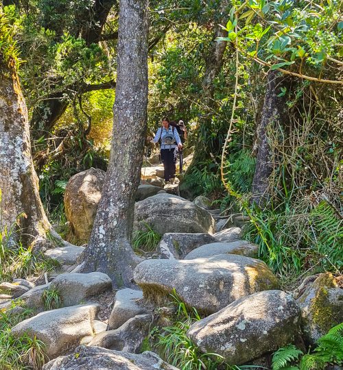 Meerdaagse hike op Mount Kinabalu op Borneo, Maleisië