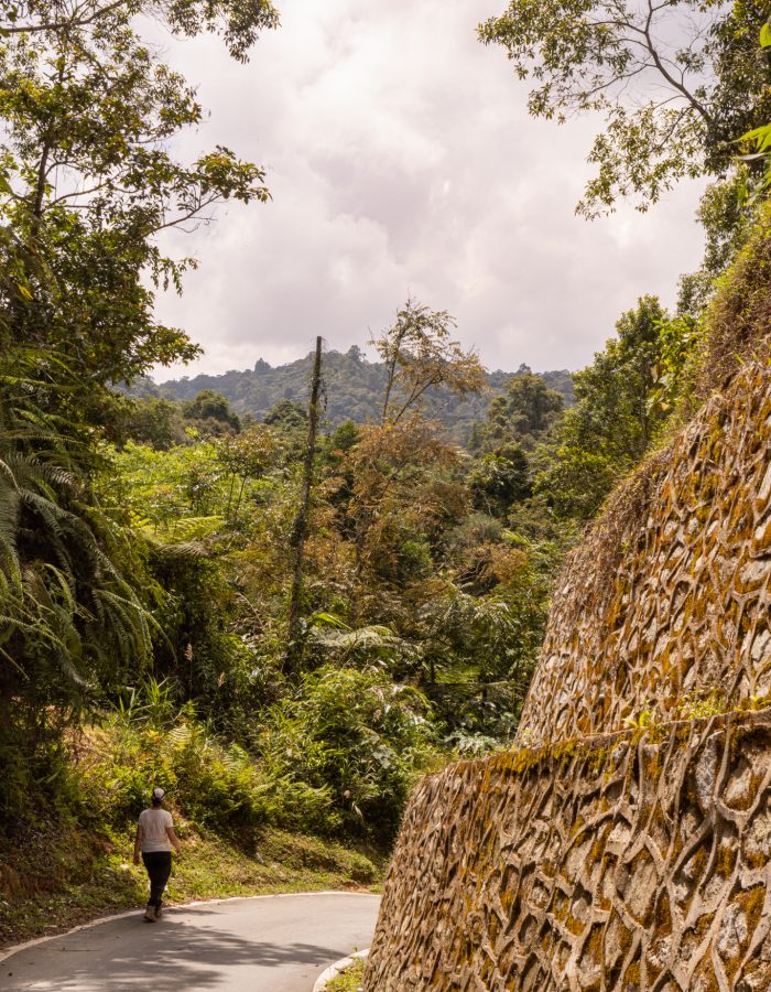 Laatste gedeelte tijdens Trail 10 in Cameron Highlands