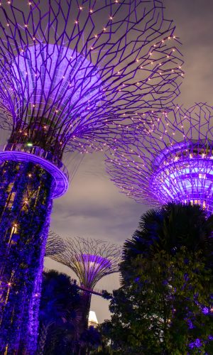 Lichtshow - Supertrees