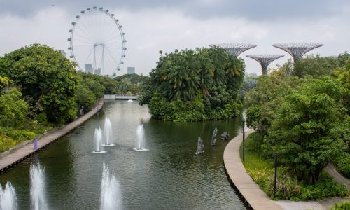 Skyline Gardens by the Bay in Singapore
