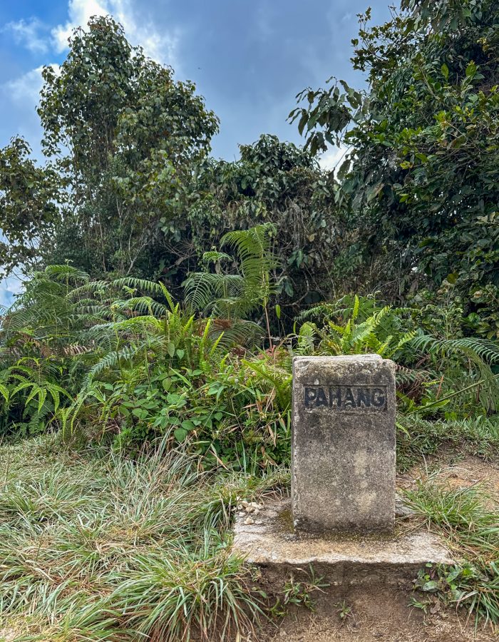 Top / Summit Trail 10 Cameron Highlands