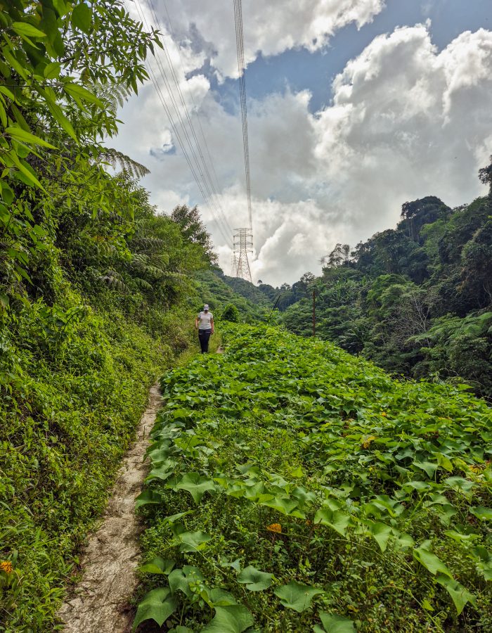 Tweede gedeelte naar beneden tijdens Trail 10 in Cameron Highlands