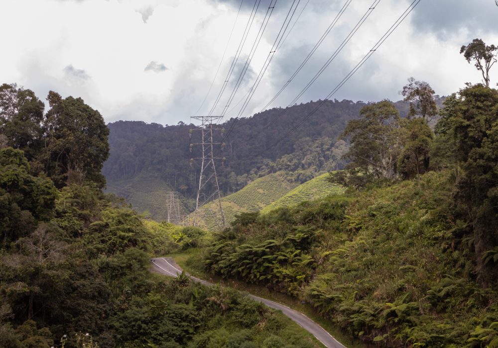 Uitzicht tijdens trail 10 in Cameron Highlands
