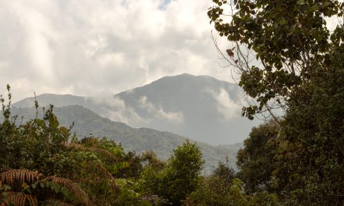 Uitzicht op top Trail 10 in Cameron Highlands