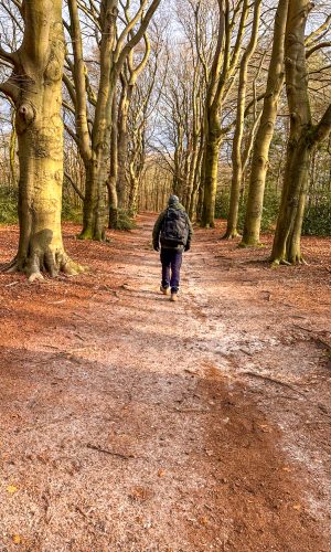 Corversbos - Nederland