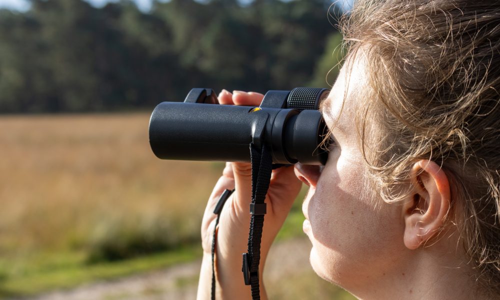 Amerongse Bos - Nederland