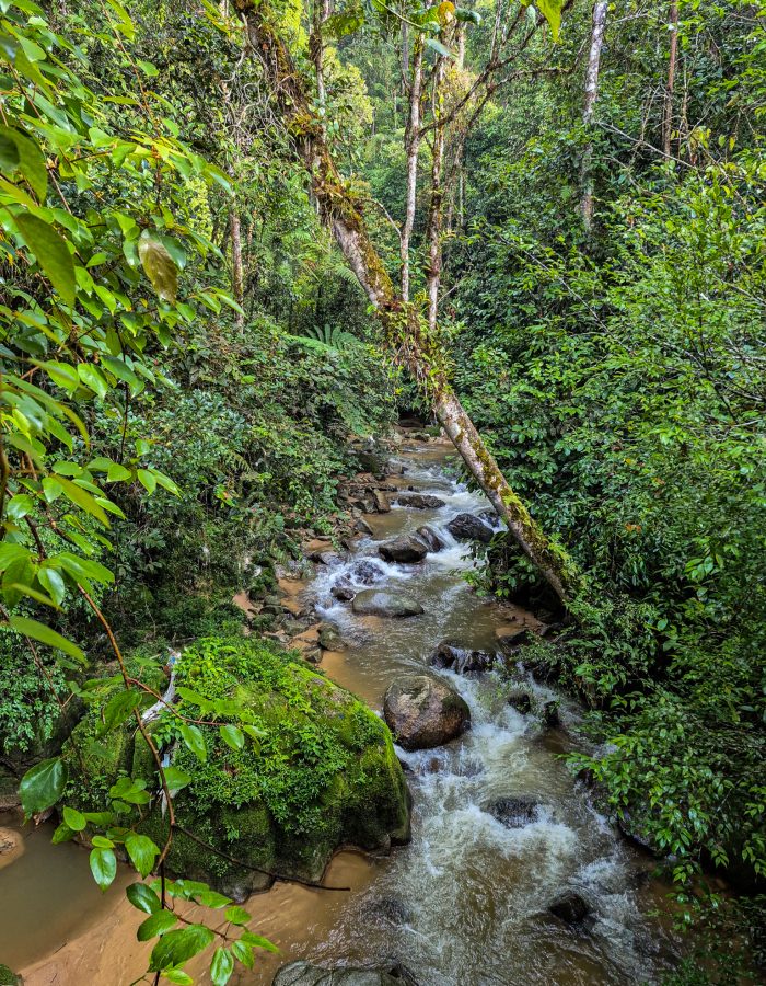 Waterval bij Trail 10 in Cameron Highlands